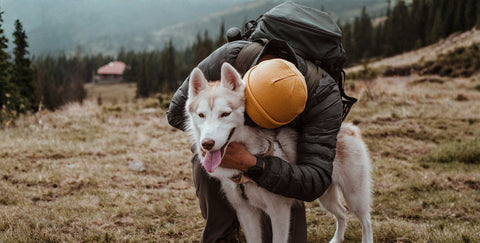 Si viajas estas Navidades, ¿Tu Lobito irá contigo? Guía para tomar la mejor decisión