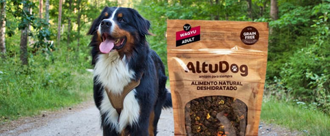 AltuDog