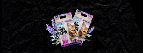 2ª Unidad al 50% de Descuento