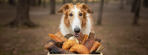 LOBITOS BOX - Mordedores Deshidratados