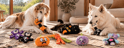 Halloween para perros y gatos