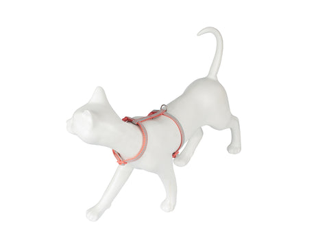Freecat Kit Arnés y Correa para Gato