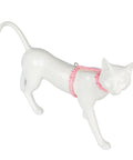 Freecat Kit Arnés y Correa para Gato