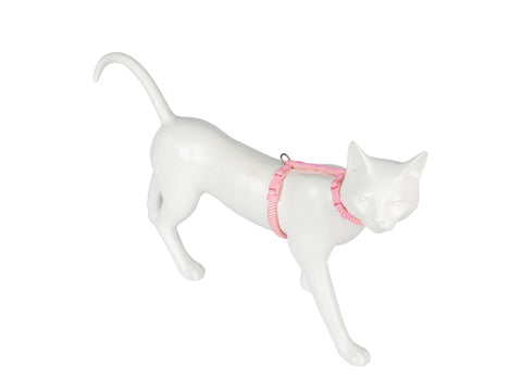 Freecat Kit Arnés y Correa para Gato