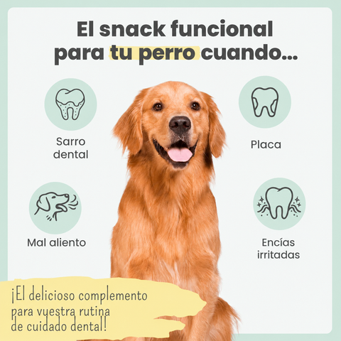 Noms+ Sticks Dentales para Perros 150g