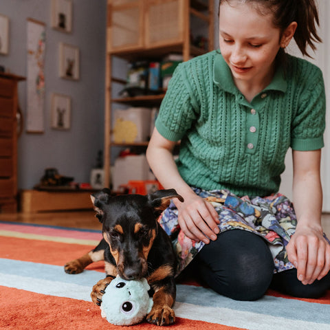 Perro jugando con su peluche Hunter Mystery Monster