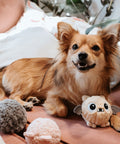 Perro tumbado entre peluches Hunter Mystery Monster