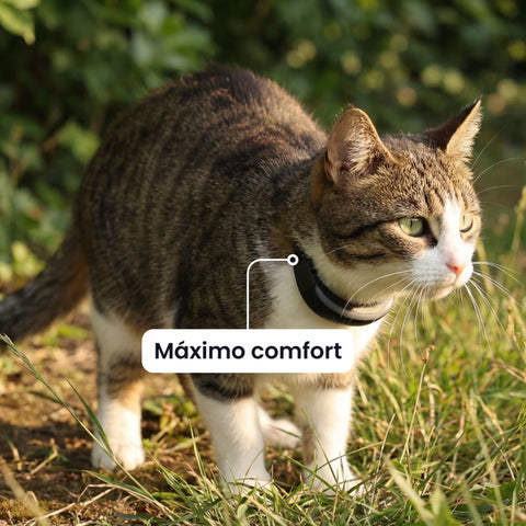 Tractive - GPS Cat 6 Mini