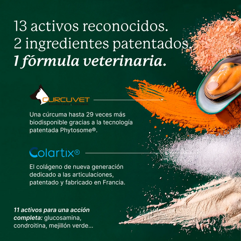 Balto Articulaciones pollo, complemento para las articulaciones del perro