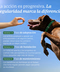Balto Articulaciones para perros desde 6 meses, de cualquier tamaño