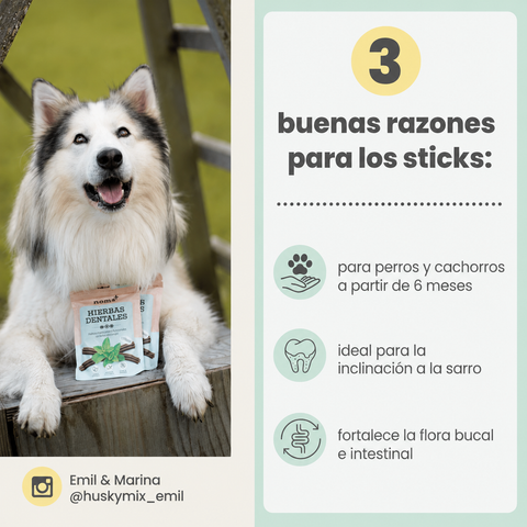 Noms+ Sticks Dentales para Perros 150g