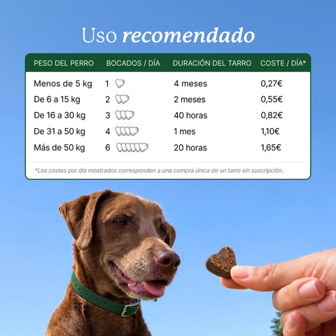 Balto Articulaciones, alimento complementario para perros fabricado en Europa