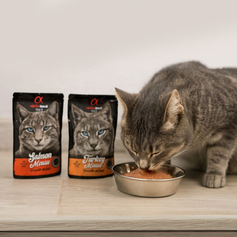 AlphaSpirit Cat Pouch Mousse de Salmón 85g