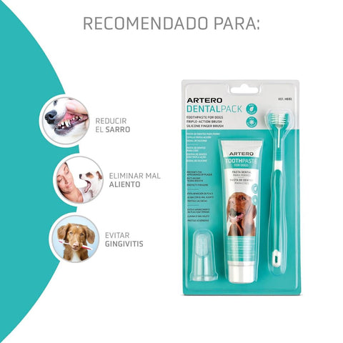 Artero Pack Dental Smile