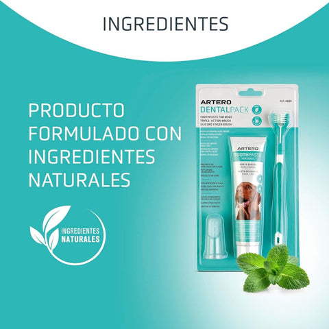 Artero Pack Dental Smile