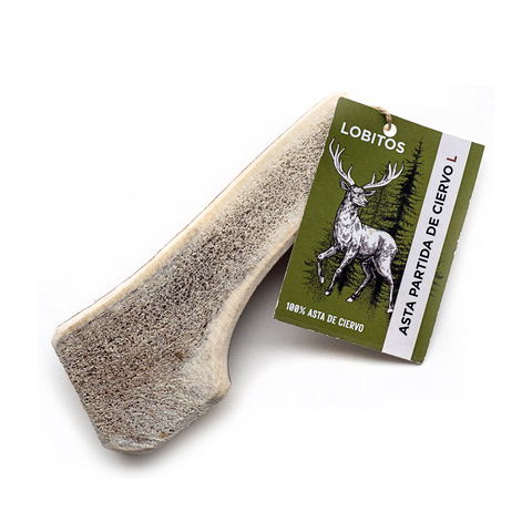 Astas de ciervo partidas LOBITOS L