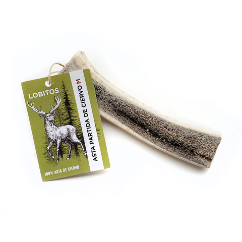 Astas de ciervo partidas LOBITOS M