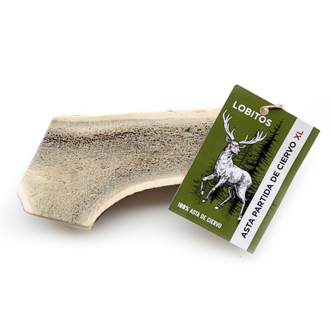 Astas de ciervo partidas LOBITOS XL
