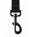 Dapac Car Safe - Cinturón de seguridad
