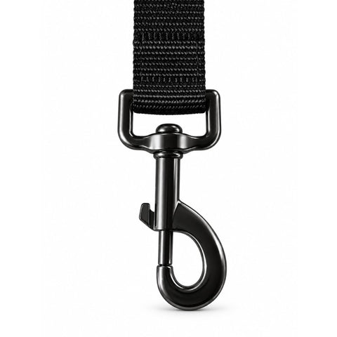 Dapac Car Safe - Cinturón de seguridad