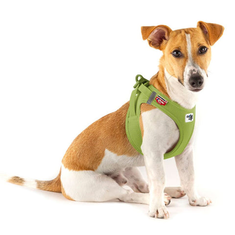 Curli Arnés Air-Mesh CLASP Lima