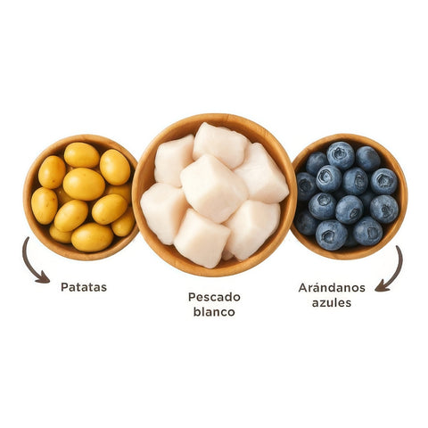 Dog Pouch Fish Lovers - Pescado 100g