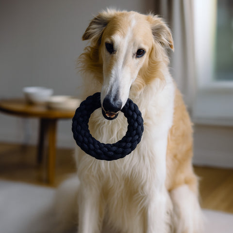 DoggyMasters Aro de Cuerda Negro