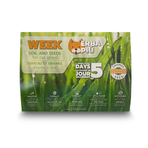 Erba Piu Week Kit Completo de Hierba para Gatos