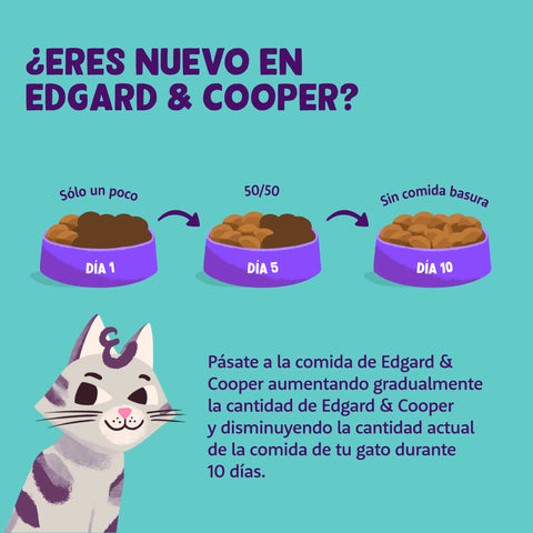 Edgard & Cooper Cat Kitten Pato