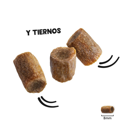 Edgard & Cooper Cat Rolls - Pollo y Pavo 45g