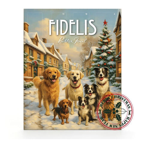 Fidelis Calendario de Adviento