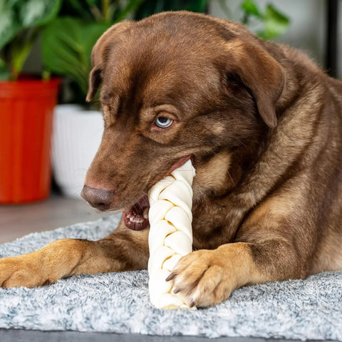 FarmFood Dental Braid