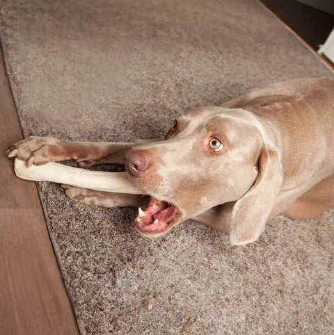 FarmFood Dental Roll