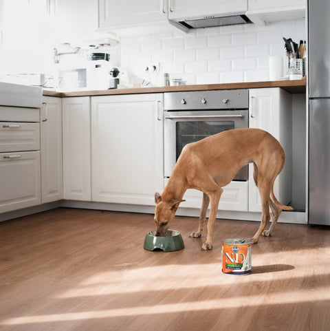 Farmina Dog Cordero-Calabaza 285g