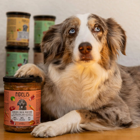 Fidelis Menú Cocido de Ternera - Frasco 400g