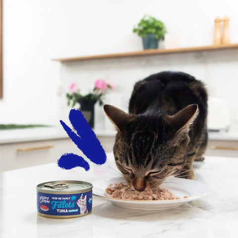 Filetes de atún sin cereales para gatos | Edgard & Cooper LOBITOS