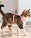 Freecat Kit Arnés y Correa para Gato – imagen 2