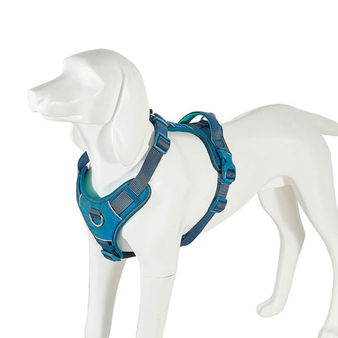 Freedog Arnés Limitless - Azul