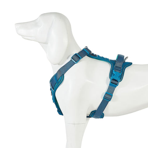 Freedog Arnés Limitless - Azul