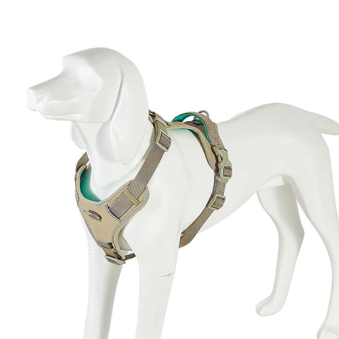Freedog Arnés Limitless - Beige