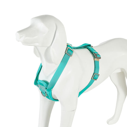 Freedog Arnés Saferide Pro también para Coche - Turquesa