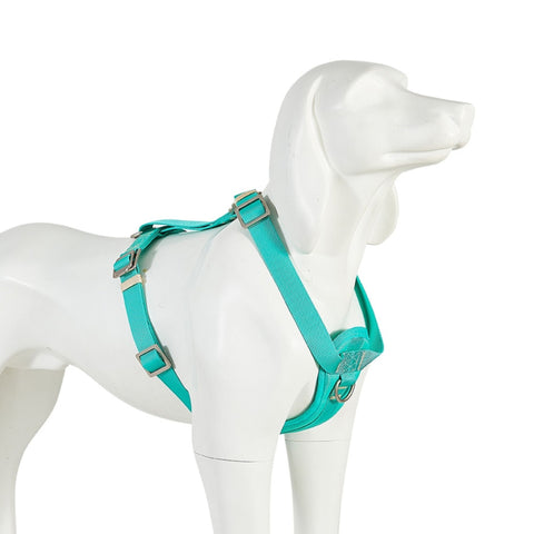 Freedog Arnés Saferide Pro también para Coche - Turquesa