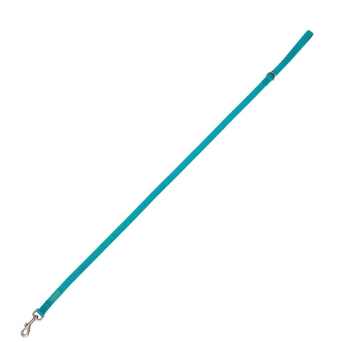 Freedog Correa Basic Turquesa