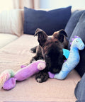 Freedog Peluche con Sonido Fantasy Seahorse para Perros