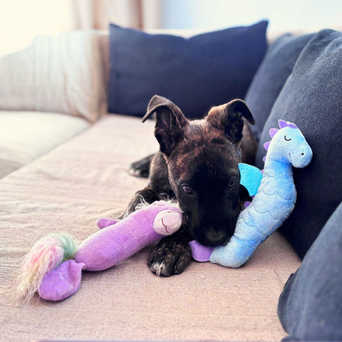 Freedog Peluche con Sonido Fantasy Seahorse para Perros