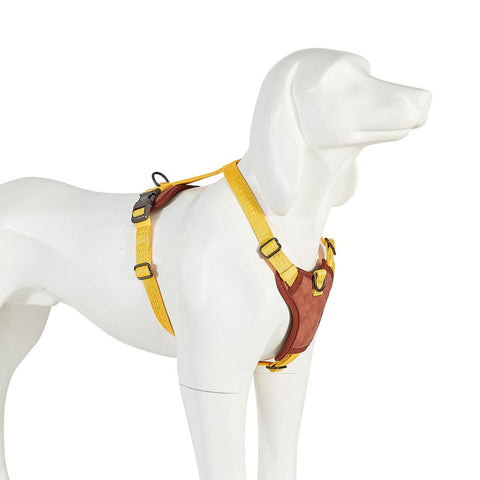 Freedog Linum - Arnés Yellow Sunrise