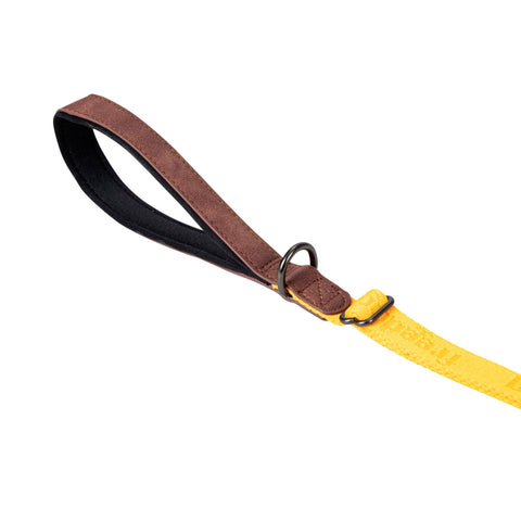 Freedog Linum - Correa Yellow Sunrise