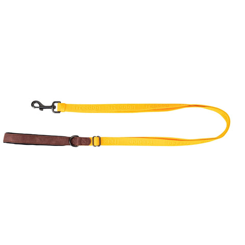 Freedog Linum - Correa Yellow Sunrise