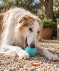 Freedog Pelota Noody para Perros – imagen 2