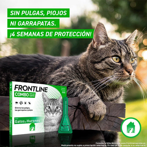 Frontline Combo Gato (3 pipetas)